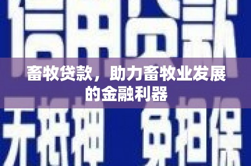 四方台畜牧贷款，助力畜牧业发展的金融利器