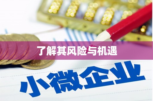 四方台了解其风险与机遇