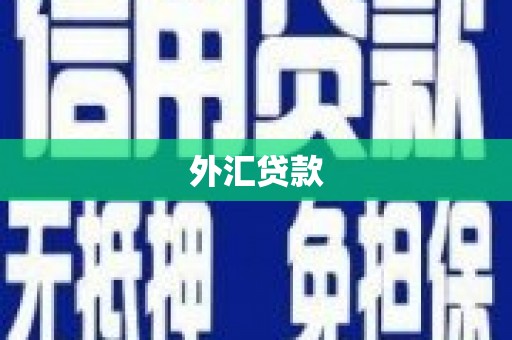 四方台外汇贷款