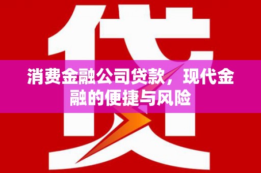 四方台消费金融公司贷款，现代金融的便捷与风险